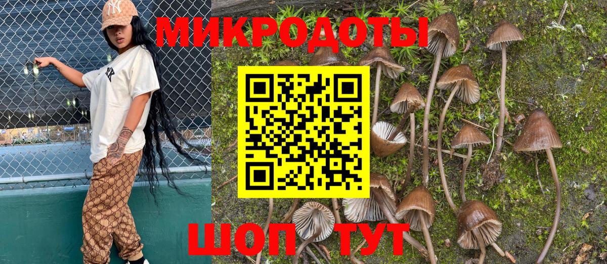 купить   Галлюциногенные грибы Psilocybine cubensis  Вход с VPN  Амурск 